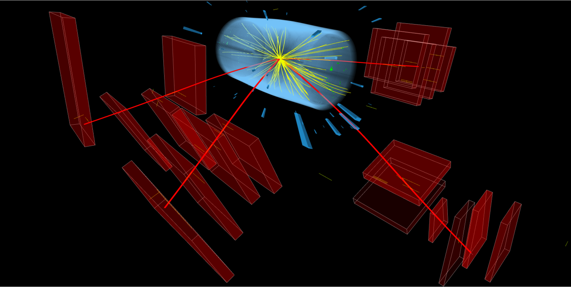 Slide Image